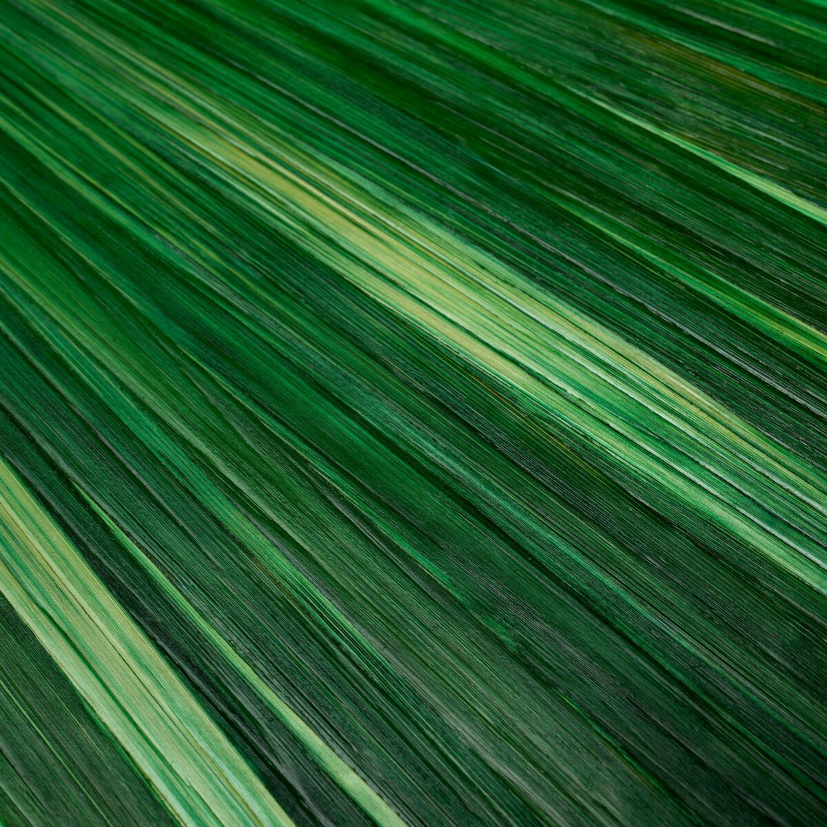 Контейнер для соломы Eichholtz Harvard ARCH-00002311 - Вид №2