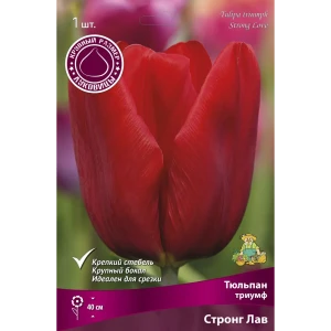 Тюльпан триумф Стронг Лав 88663145 STLM-2200048