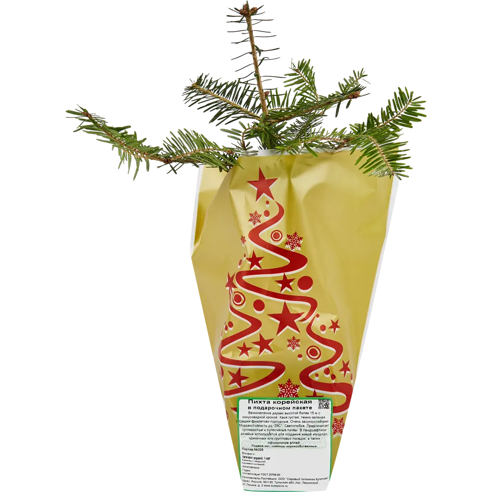 Пихта Корейская в новогоднем пакете P9 h20 см Santreyd STLM-2008821