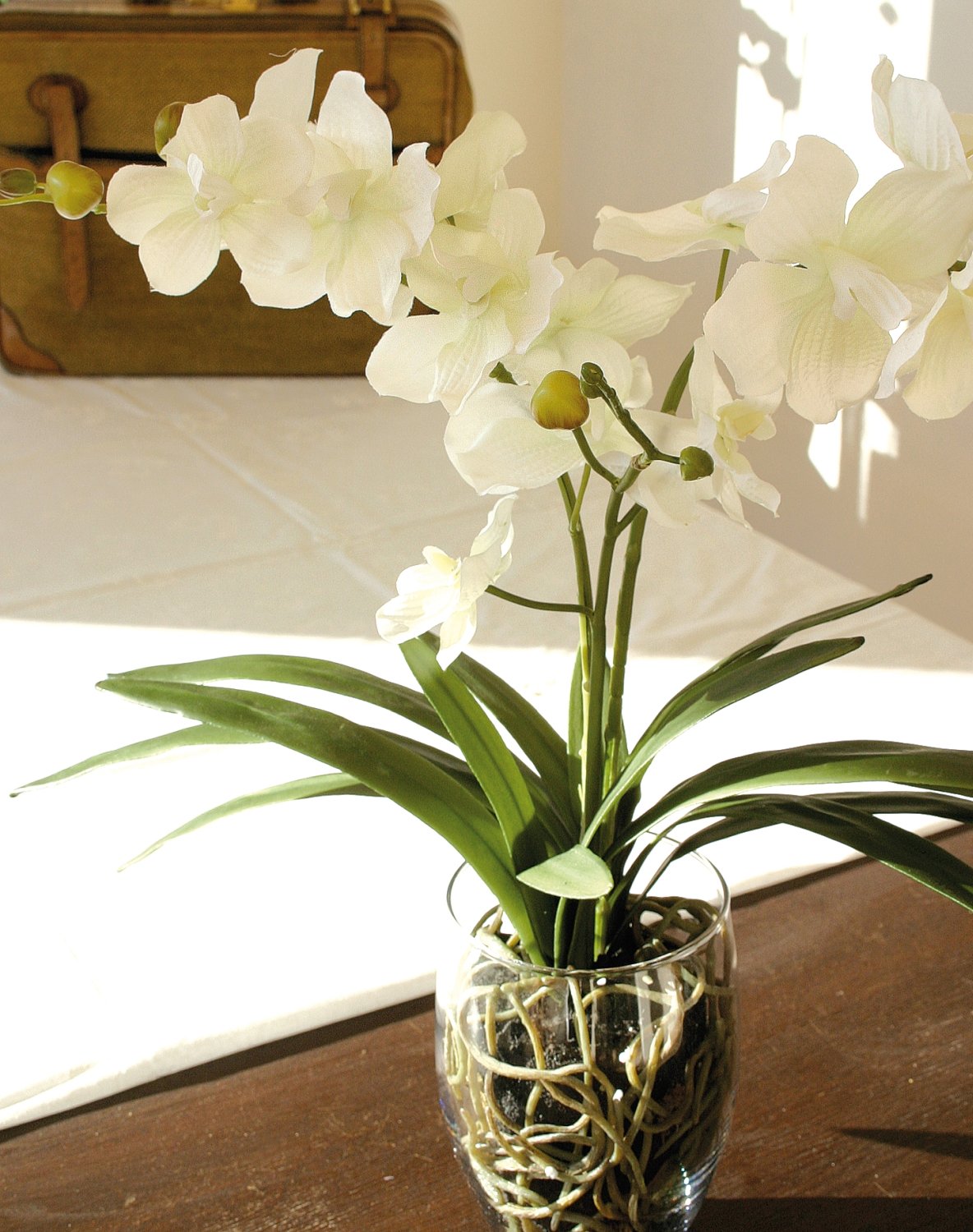 2589 778 a3 Имитация орхидеи ванда в стеклянном горшке, 53 см, бежево-белая H-andreas  - Вид №1