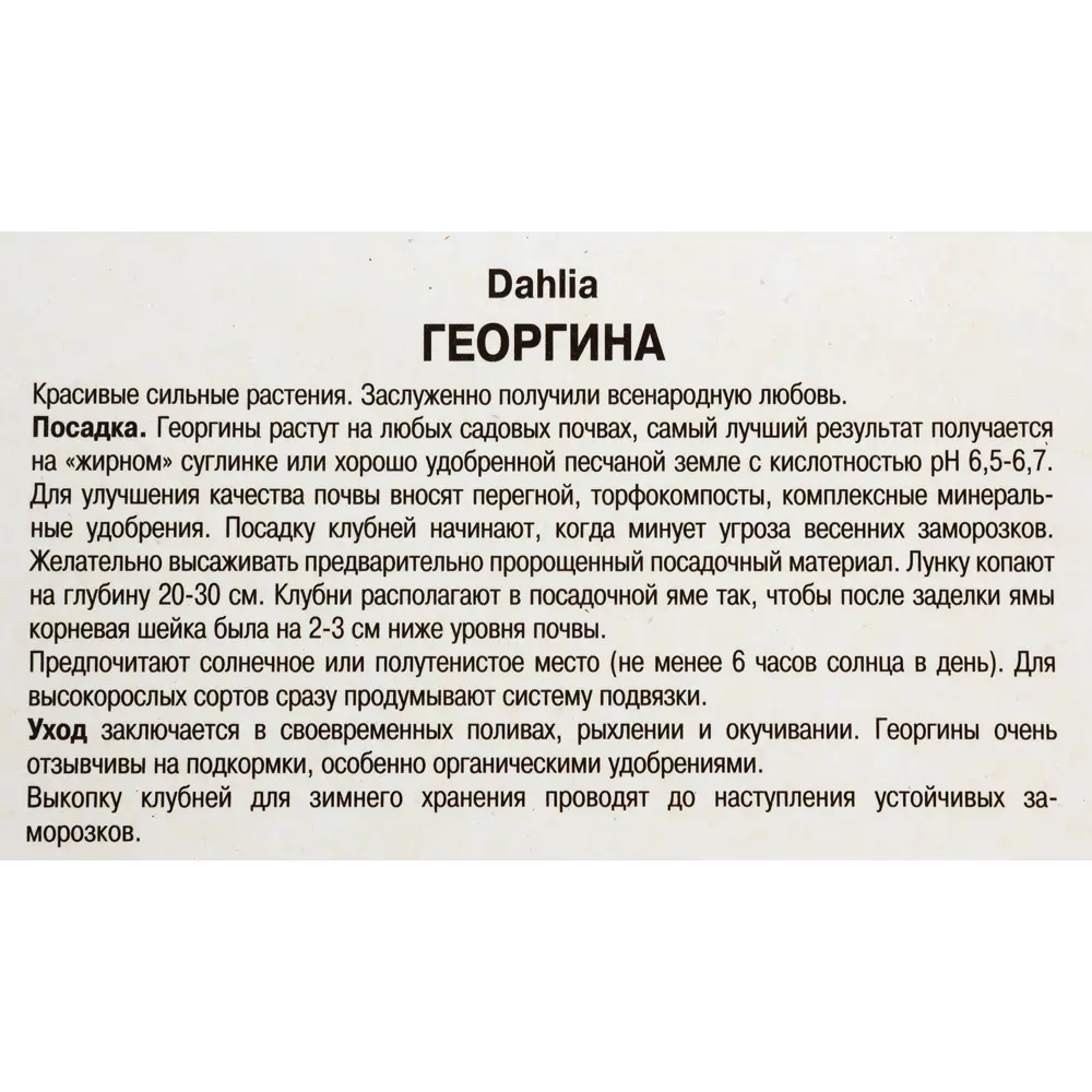Георгины кактусовые «Спассмахер», 1 шт. 82118679 STLM-2118357 ПОИСК  - Вид №2
