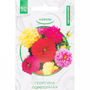 82457720 Георгина помпонная XS