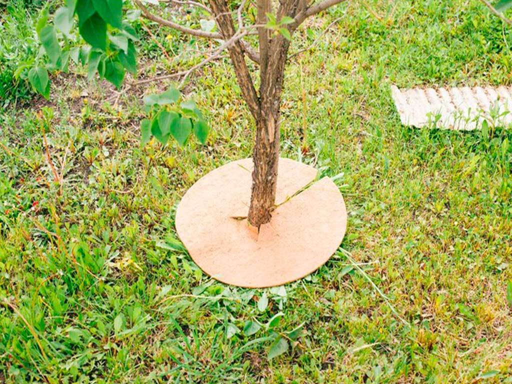 Круг приствольный Мульчаграм 60 см, комплект - 5шт ГеоПластБорд GPBST-236 - Вид №7