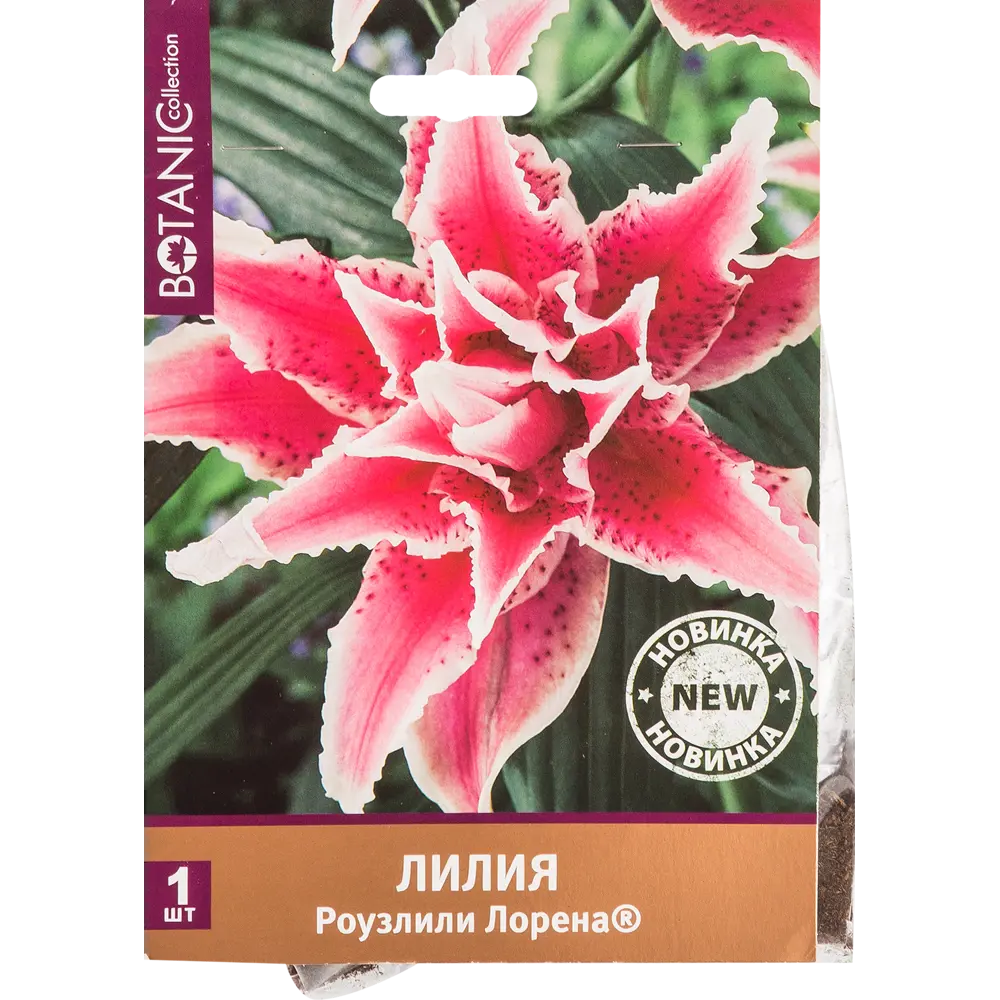 Лилия Роузлили Лорена 12/14, 1 шт 82539372 STLM-2114008 Santreyd 