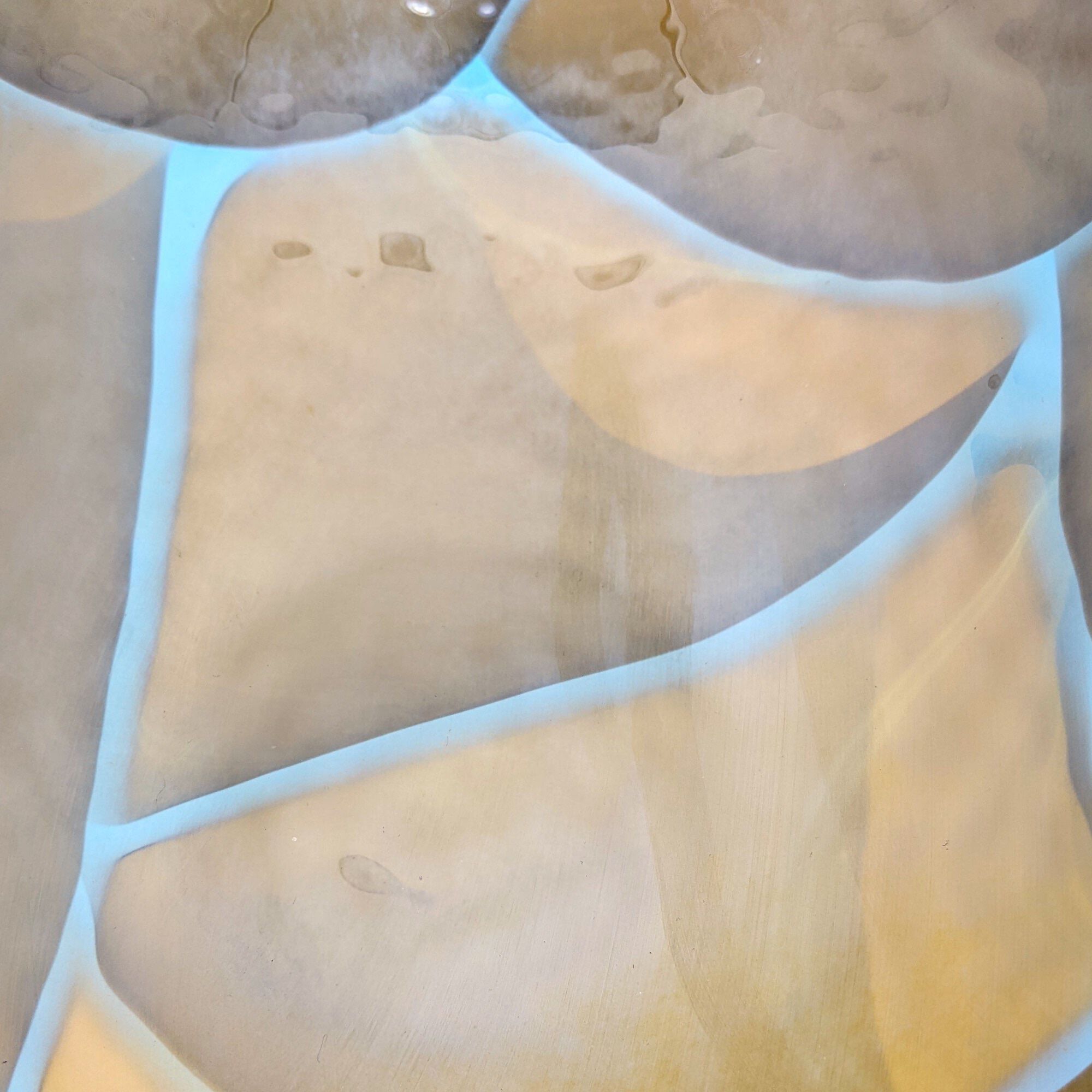 Центральные элементы из муранского стекла ручной работы YourMurano Shell ARCH-00036783 - Вид №7