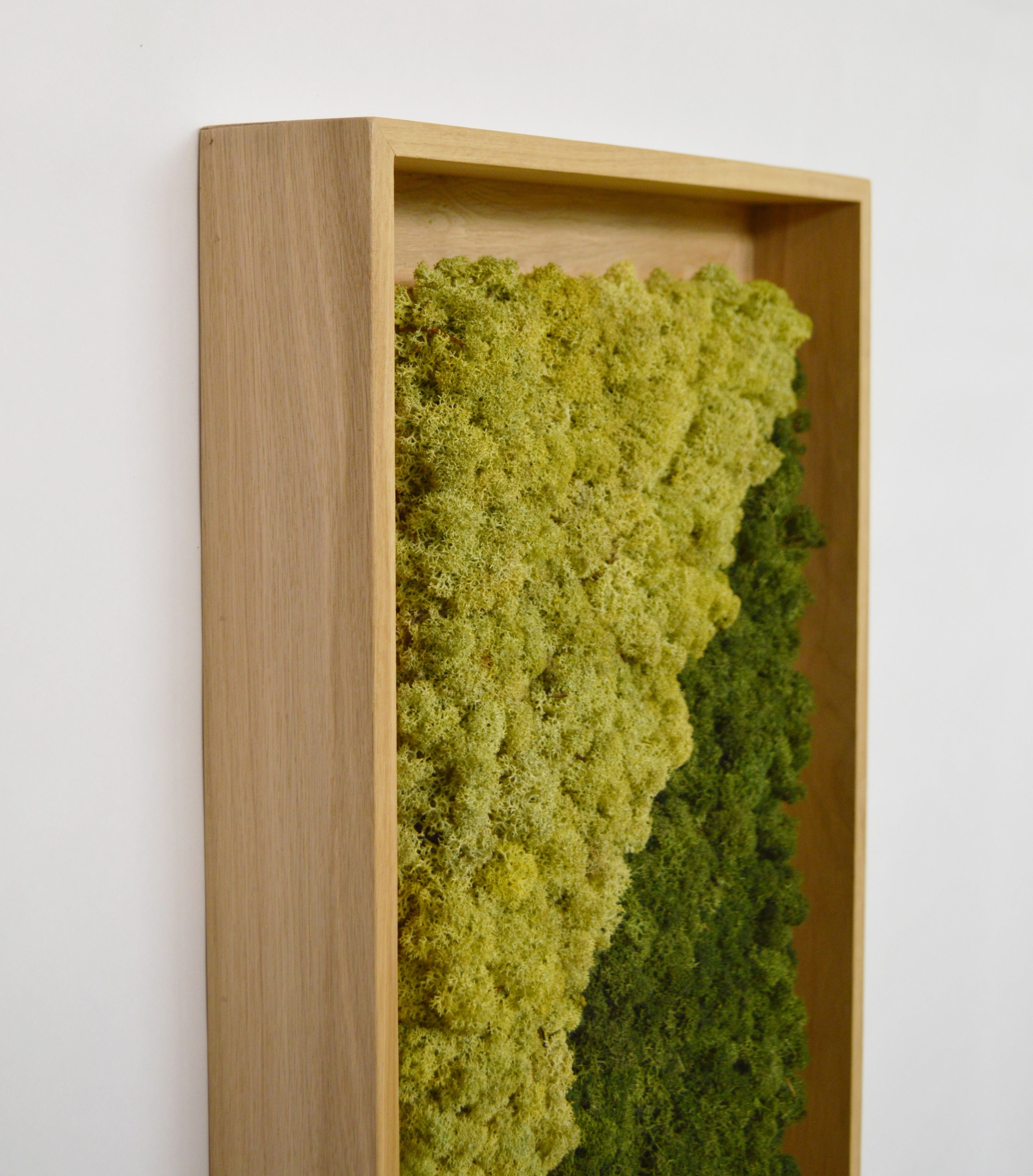 Акустическая панель из мха GREENMOOD FRAMED HARMONY ARCH-00128753 - Вид №26