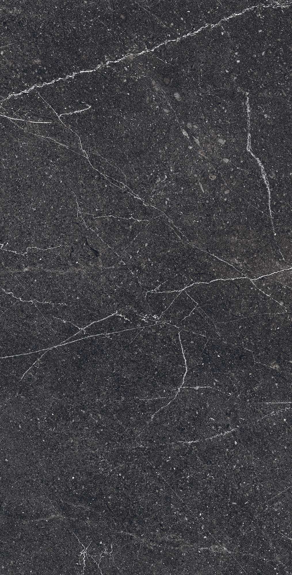EQUISTONE CHARCOL ARCADIA CERAMICA RG6003-A - Вид №2