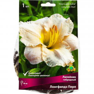82118729 Лилейник гибридный «Лонгфилдз Перл», 1 шт.