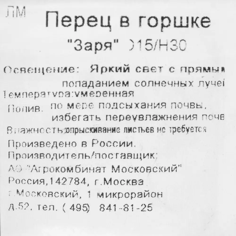 Перец в горшке, диаметр 15 см, высота 30 см Santreyd STLM-2027007 - Вид №1