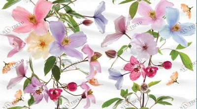 Декор Dec Clematis Panno B 25х45 Ceradim sun-id-324758