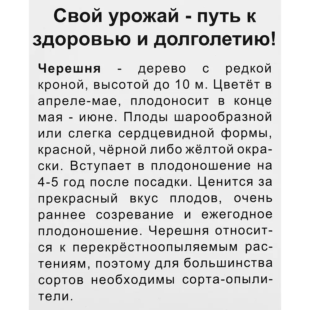 Черешня «Веда» h57 см 82150826 STLM-2097480 Santreyd  - Вид №3