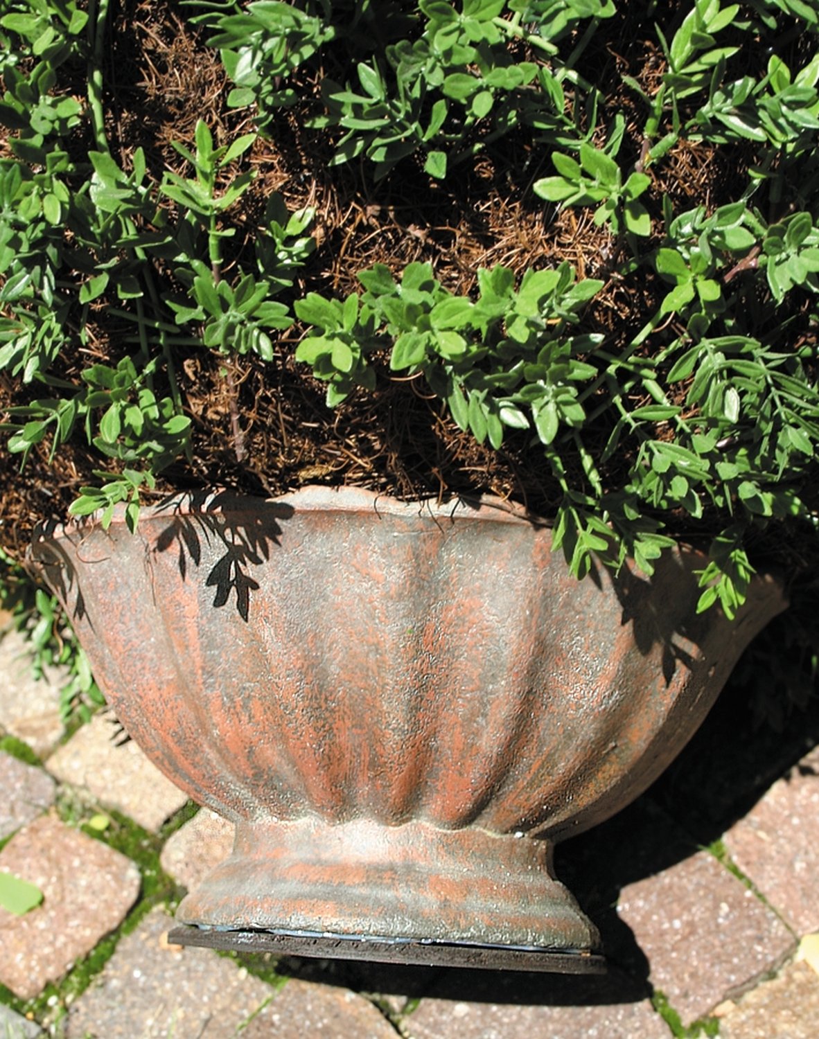 4979 883 a3 Мяч из искусственного самшита, синтетический материал, в горшке, 60 см, зеленый H-andreas  - Вид №7