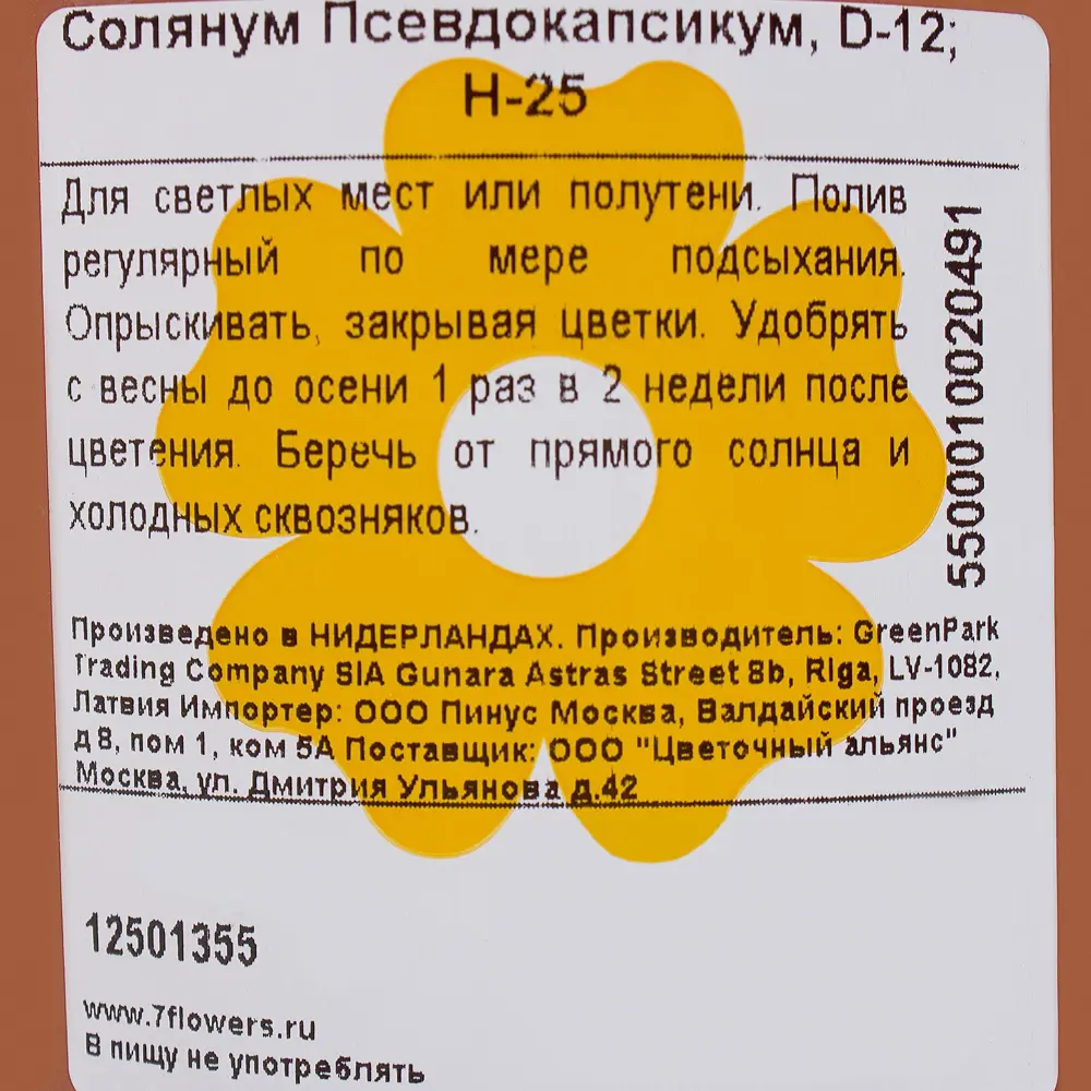 Солянум Псевдокапсикум 12х25 см Santreyd STLM-2162168 - Вид №1