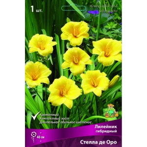 Лилейник гибридный Стелла де оро луковица I 88295011 STLM-2084124