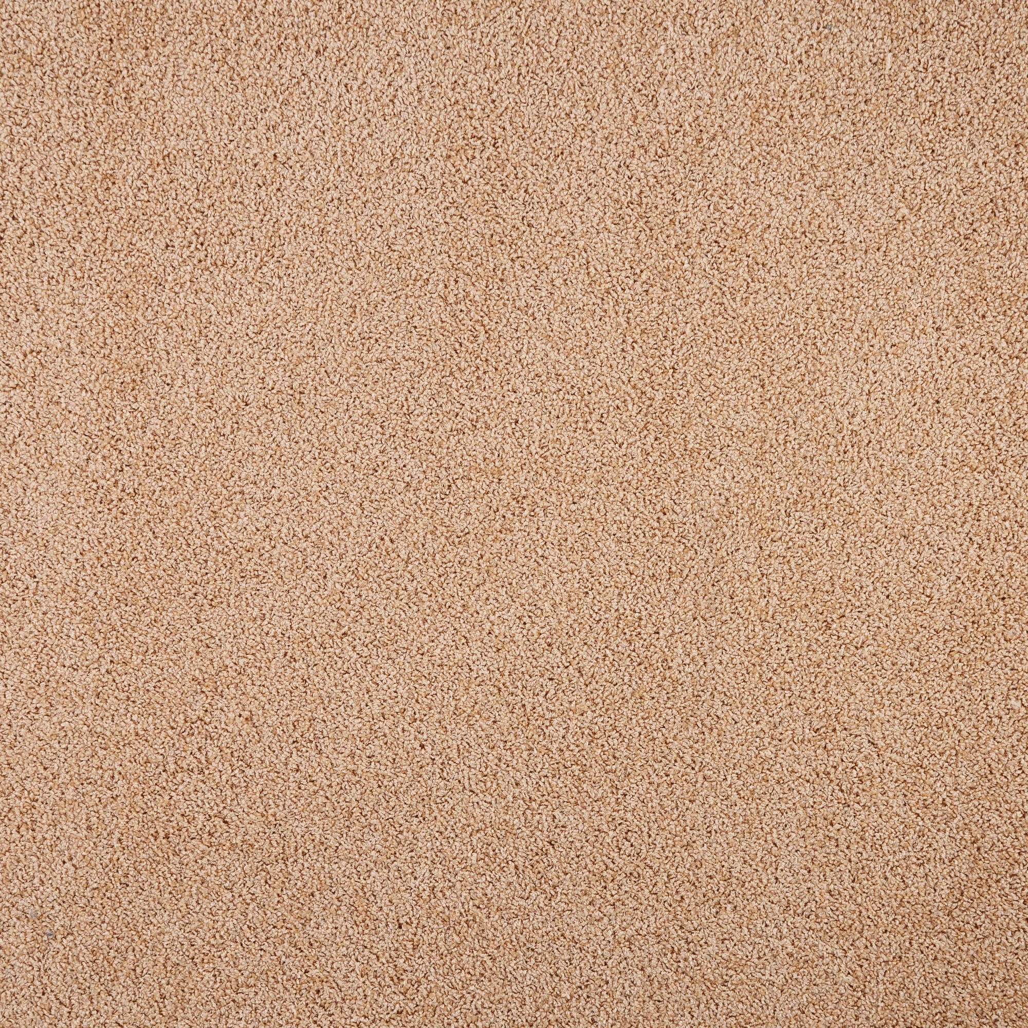 82163696 Ковровое покрытие «Глория», 3 м, цвет персик Santreyd 