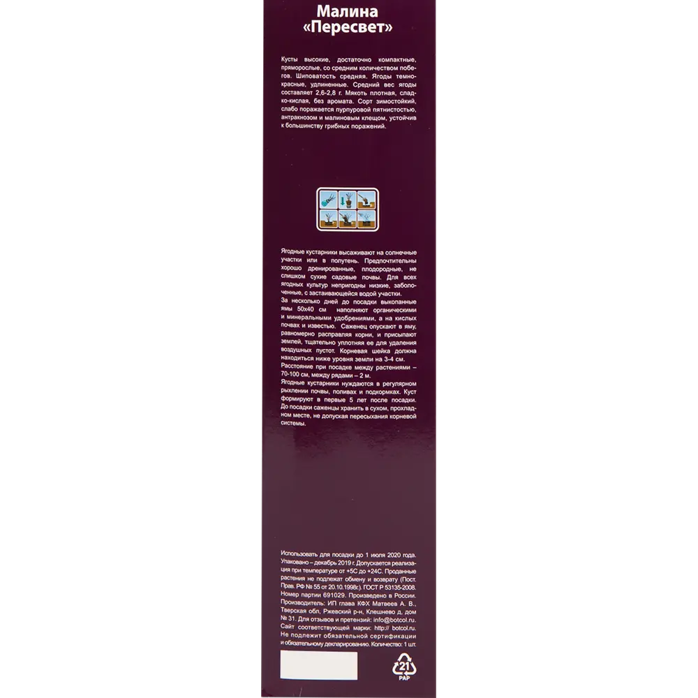 Малина садовая Пересвет в тубе 82539569 STLM-2118851 BOTANIC COLLECTION  - Вид №2