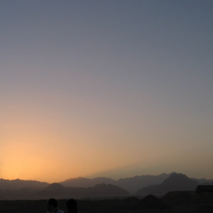 1344/CX38 Картина 0985 Adriani e Rossi