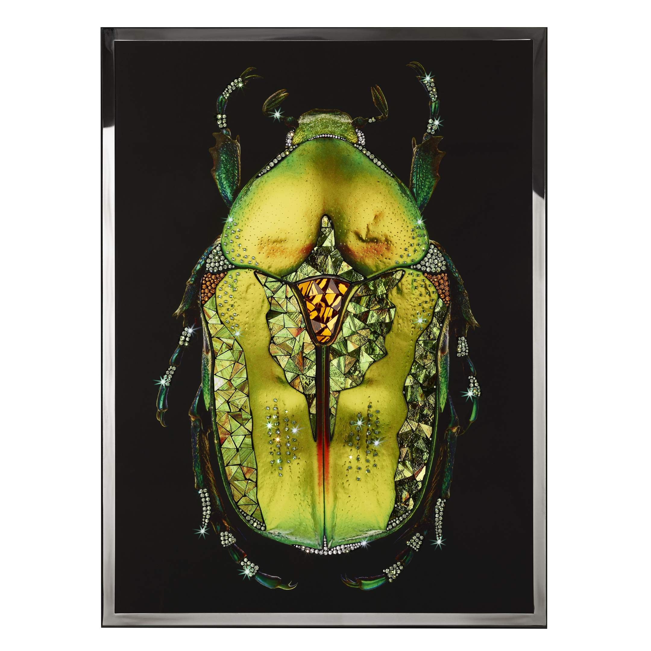 Coleottero Verde Смешанная техника Visionnaire  - Вид №1