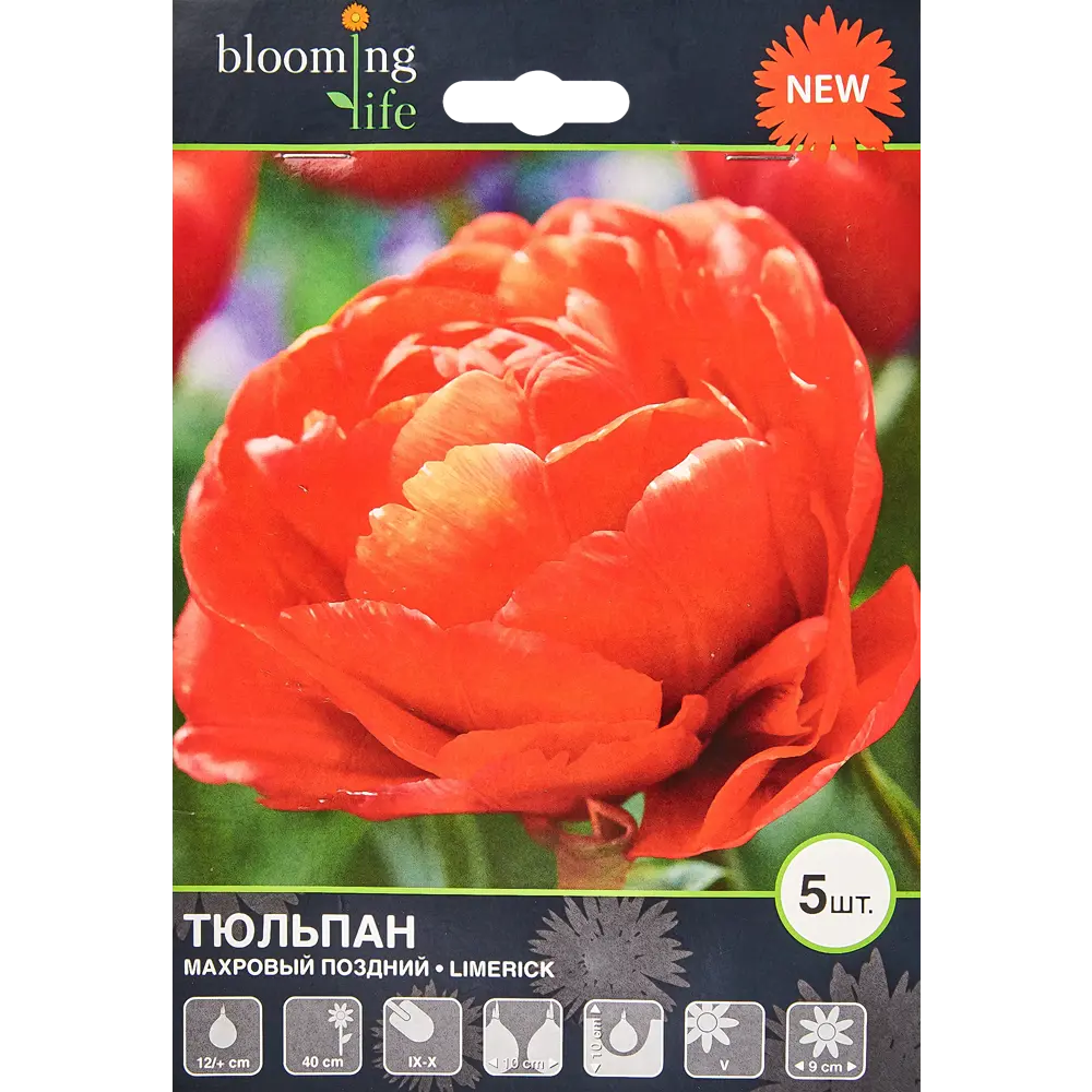 Тюльпан «Лимерик» размер луковицы 12, 5 шт. 82665842 STLM-2154233 BLOOMING LIFE 