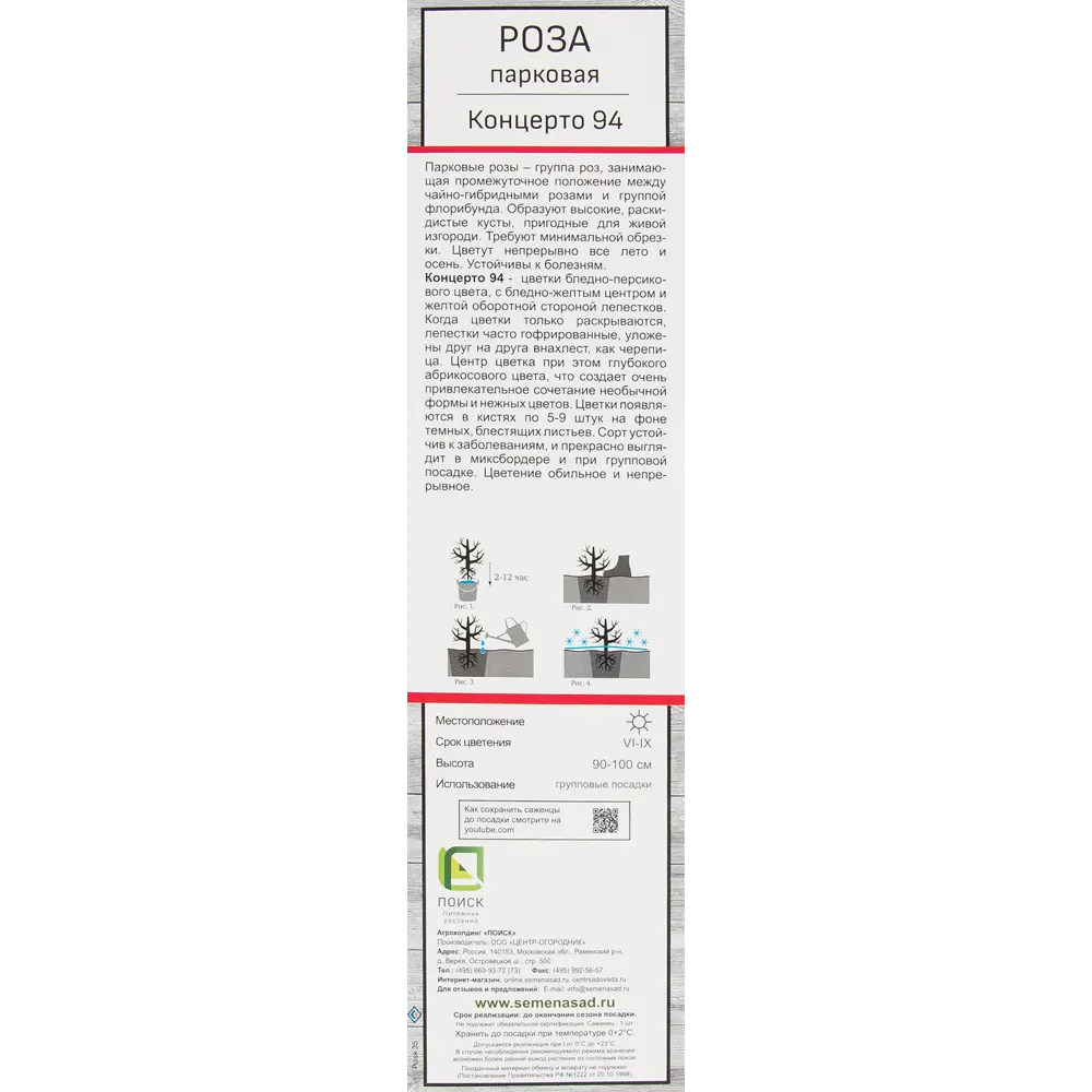 Розы парковые «Концерто 94» 18348638 STLM-2162931 Santreyd  - Вид №2