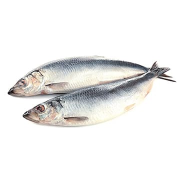 Сельдь Атлантическая свежемороженая ~1 кг Santreyd 29249