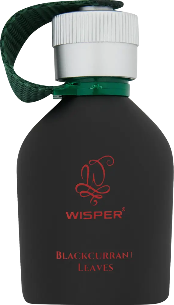 84802361 Ароматизатор Wisper Blackcurrant Leaves STLM-0055348
