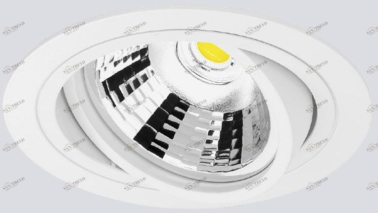 Регулируемый встраиваемый светильник Santreyd sun-id-1466193
