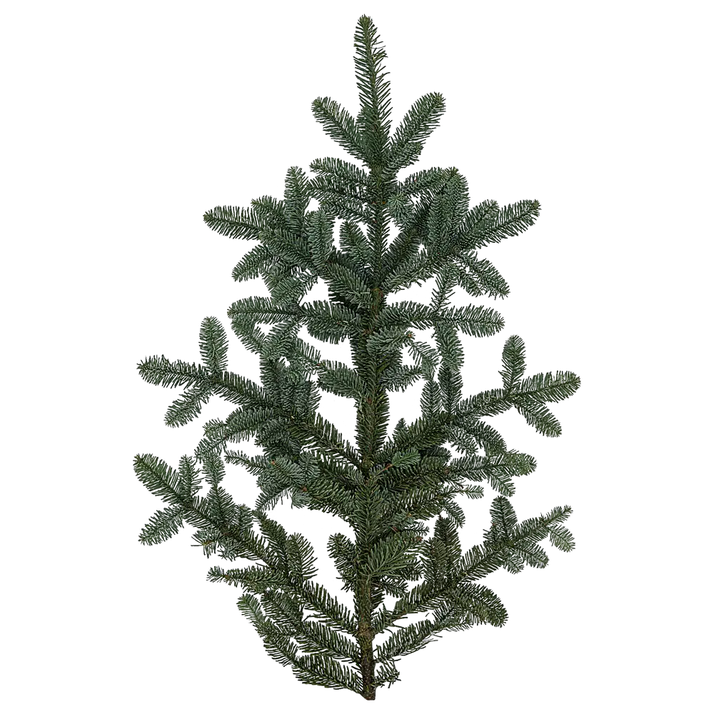 Ветка Нобилис h30-90 см Santreyd STLM-2117400