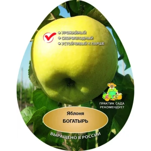 Яблоня Богатырь сетка h200 см 87737969 STLM-2165092