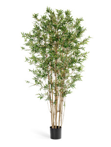 10.34303N Бамбук Японский ориенталь Цветочная коллекция