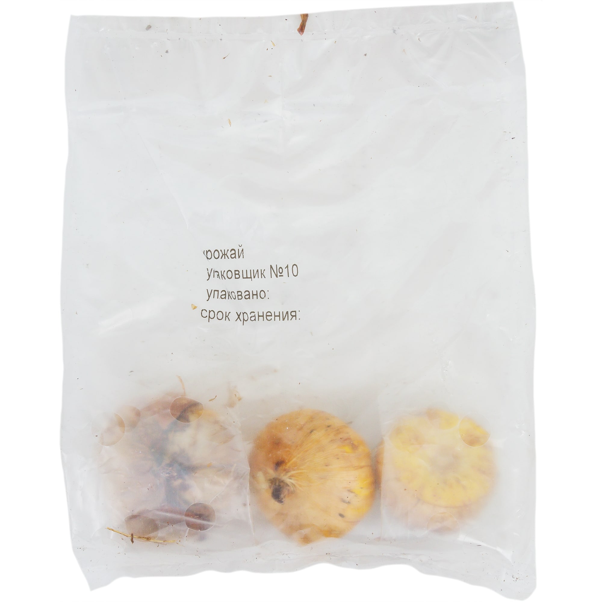 82118690 Гладиолусы бамбино «Васто», размер луковицы 10/12, 1 шт Santreyd  - Вид №1