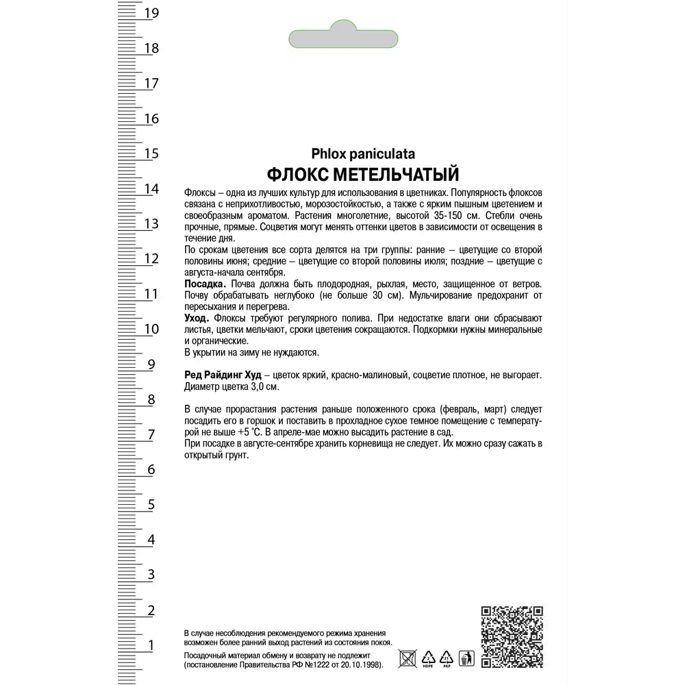 Флокс метельчатый «Ред Райдинг Худ», 1 шт. 82118753 STLM-2061302 Santreyd  - Вид №1