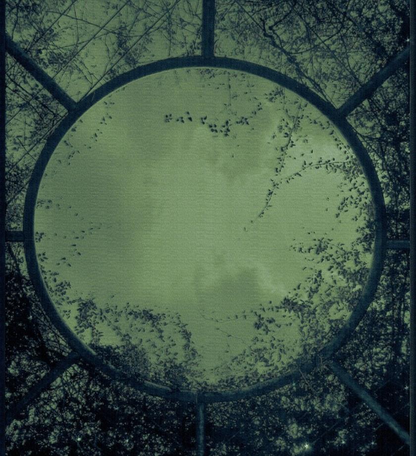 Wall&decò Огнеупорные экологические обои Contemporary wallpaper 2020 Wdrt200 - Вид №2