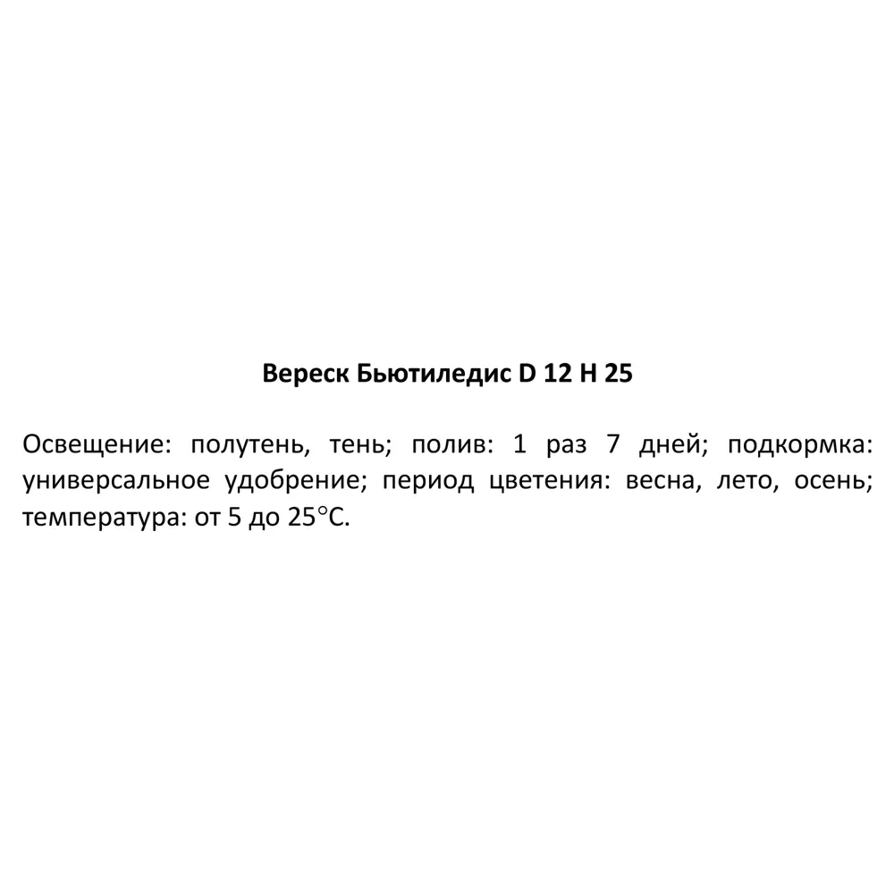 Вереск Бьюти Ледис 12x25 см 82422492 STLM-2024385 Santreyd  - Вид №1