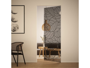 Стеклянная распашная дверь