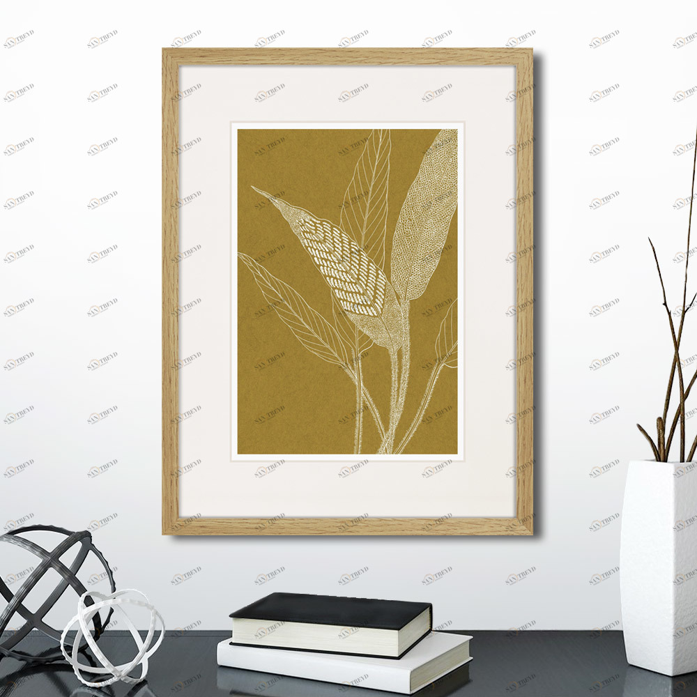Картина 42х32 см The Fern Collection №40 КАРТИНЫ В КВАРТИРУ  00-3894680 Коричневый 