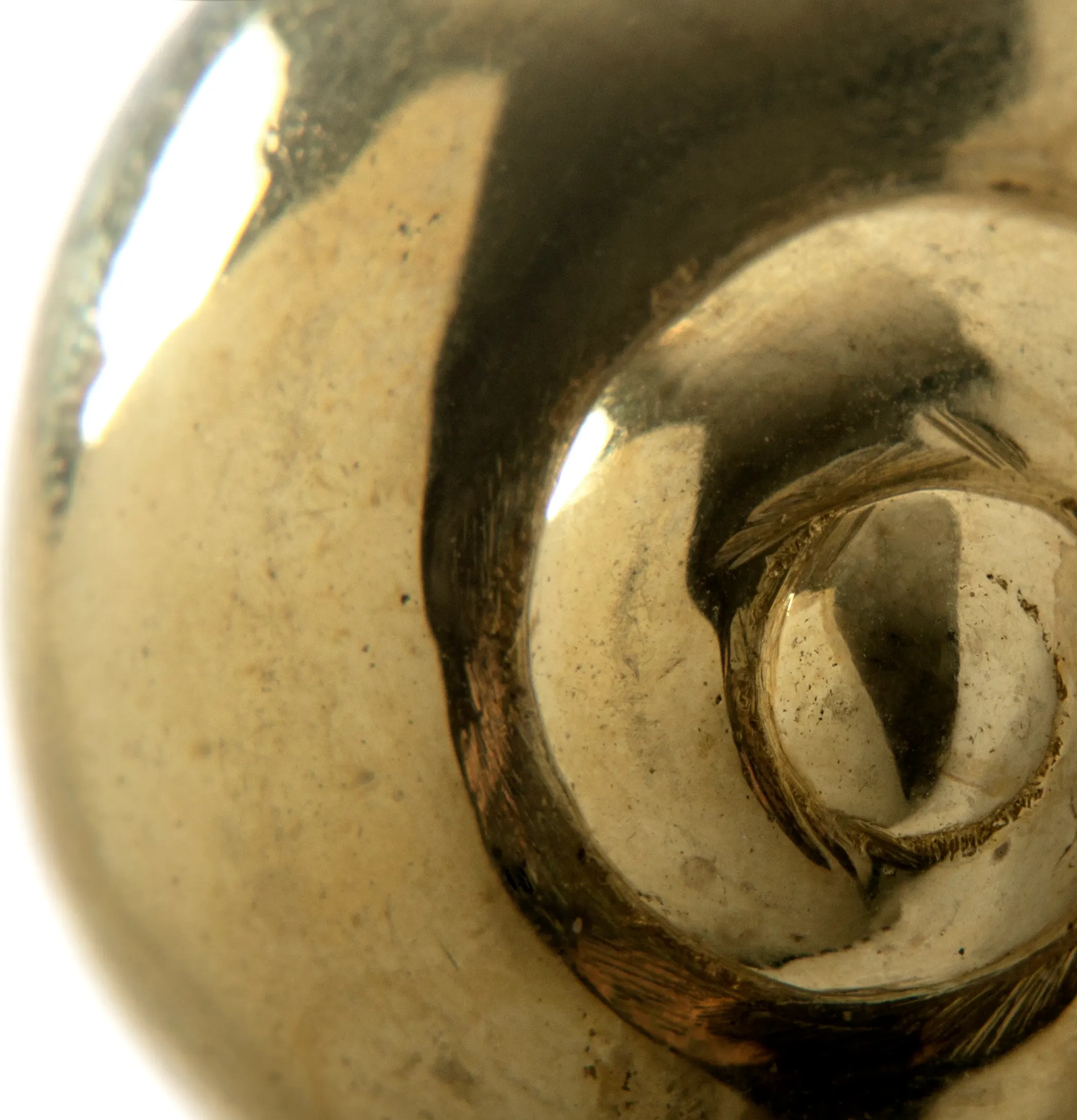 OC2001 Natica PULLCAST Ocean Collection  - Вид №3