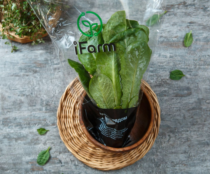 7404 Салат "Романо" в горшочке Выращено Рядом (iFarm) Вкусляндия  - Вид №2