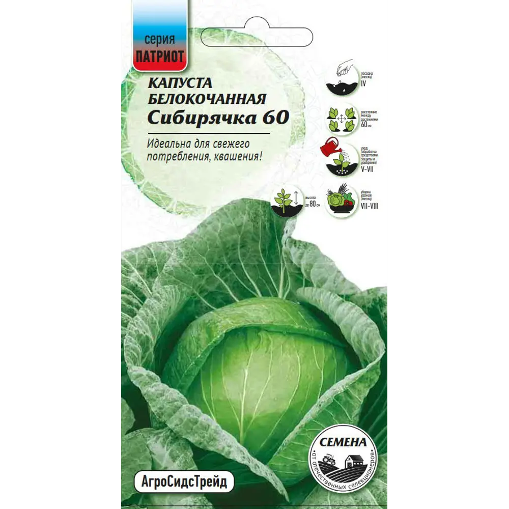Семена овощей капуста белокочанная Сибирячка 60 Santreyd STLM-2178540