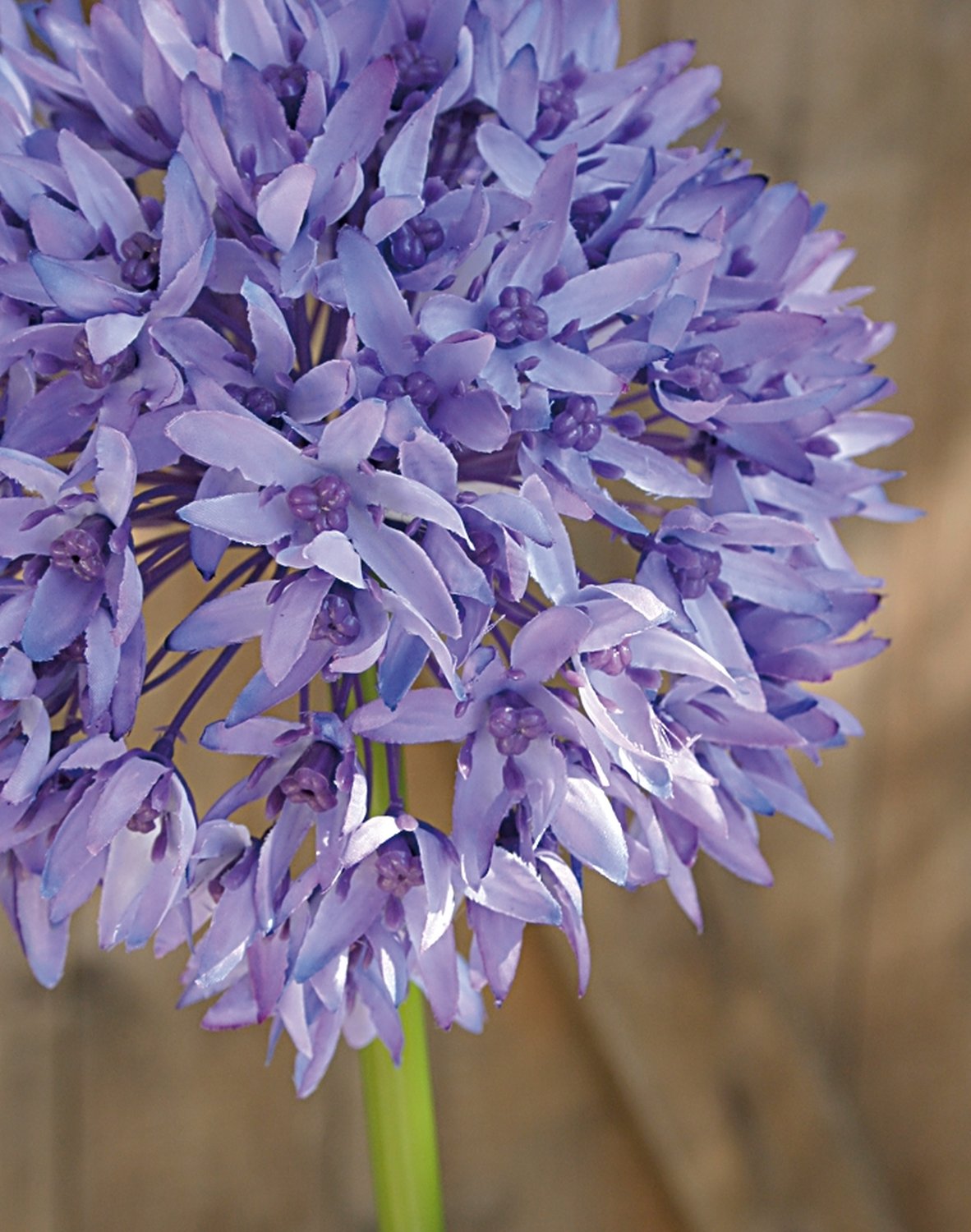 Искусственный лук, 71 см, светло-фиолетовый-темно-фиолетовый Santreyd 9807 227 a2 - Вид №4