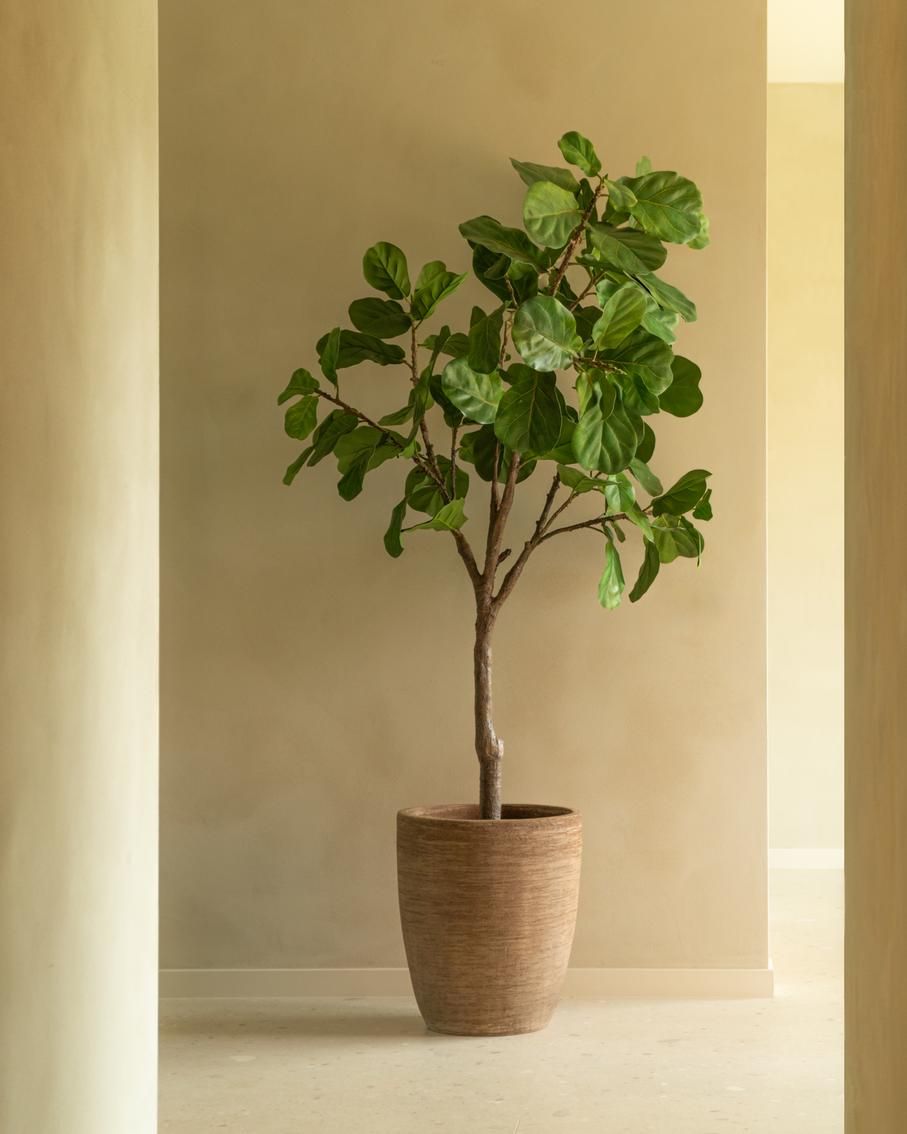 Круглый глиняный садовый горшок Vincent sheppard SAYA ARCH-00149835 - Вид №5