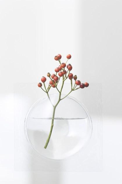 Plus D Настенная ваза из пвх sun-id-1434175 - Вид №12