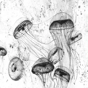 Арт-панель на холсте Alex Turco Underwater White Poison