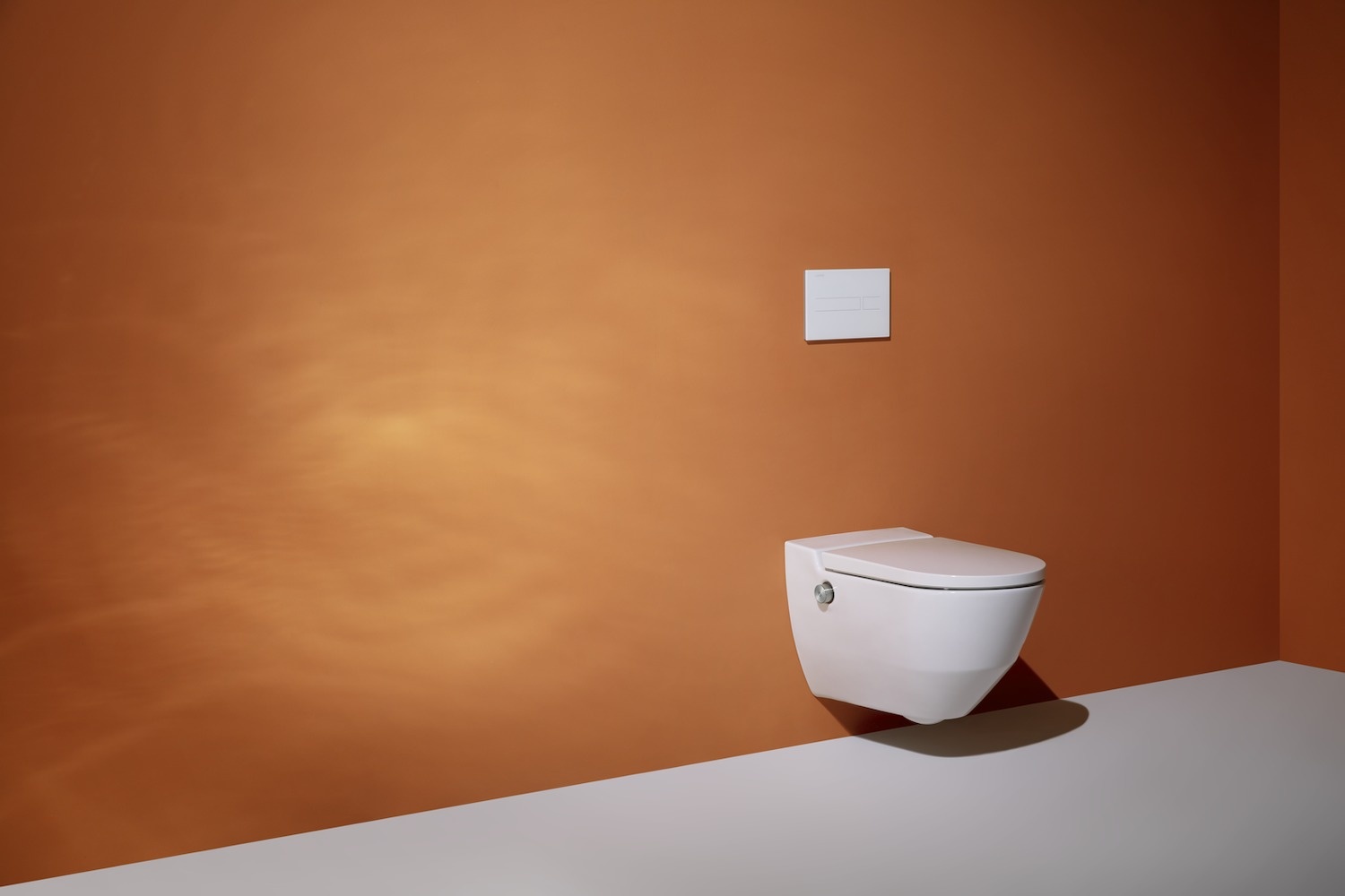 H8206014007171 Подвесной унитаз-биде, безободковый rimless, включает в комплект съемное сиденье с крышкой с механизмом "мягкое закрывание" LAUFEN PRO - Вид №48