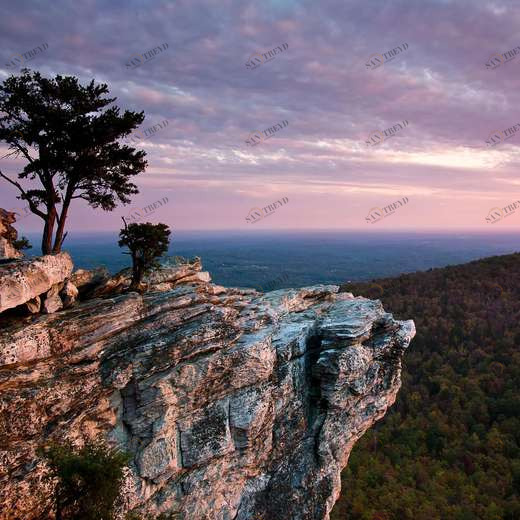 WP00670 Фотообои Verol Фотообои decoline 1х1 м