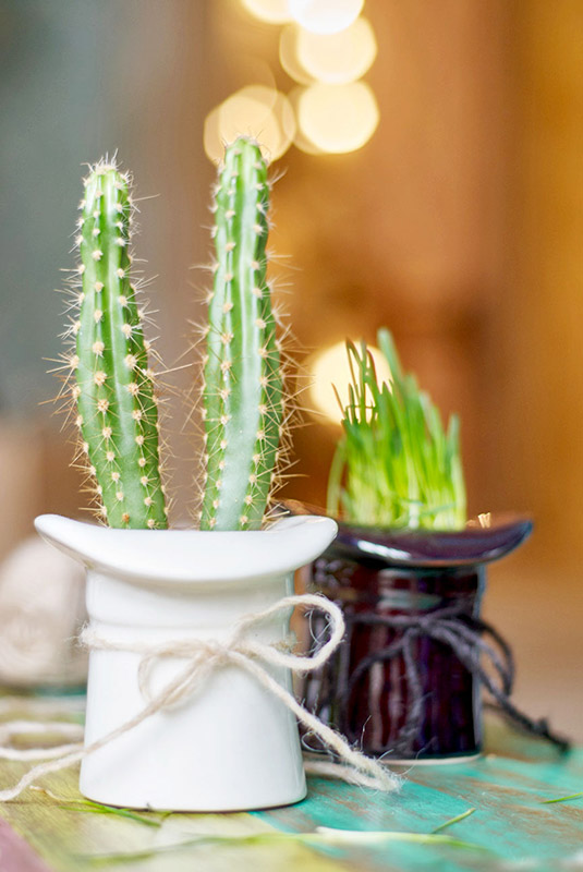 Набор для выращивания eco "Шляпа" ЭКОЧЕЛОВЕКИ  254588 Белый  - Вид №1