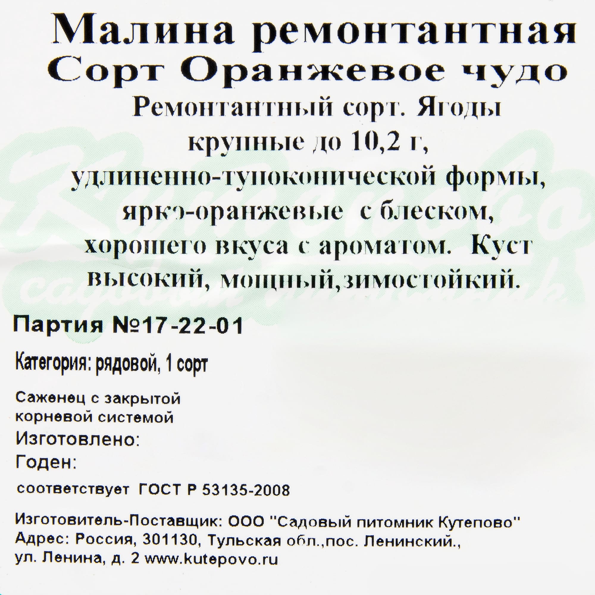 82237803 Малина «Оранжевое чудо» С2 40 см Santreyd 