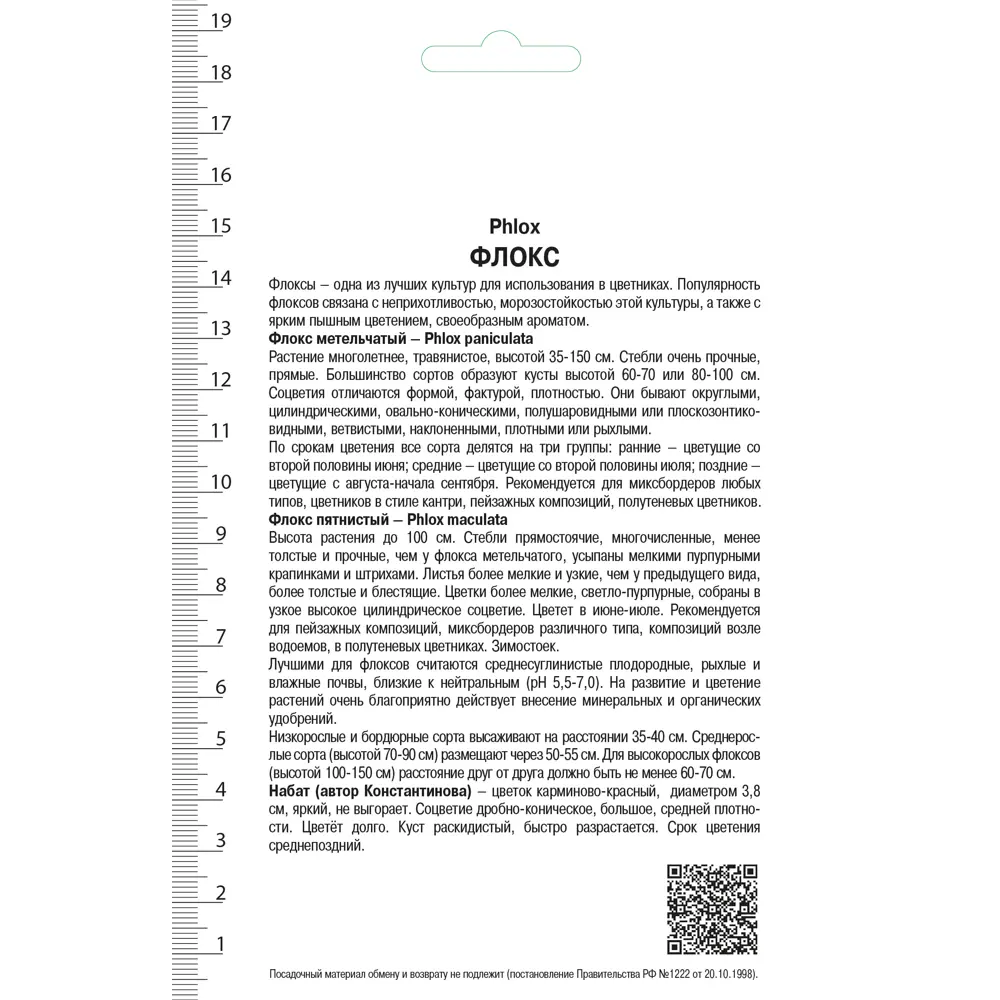 Флокс метельчатый «Набат» Santreyd STLM-2185902 - Вид №1