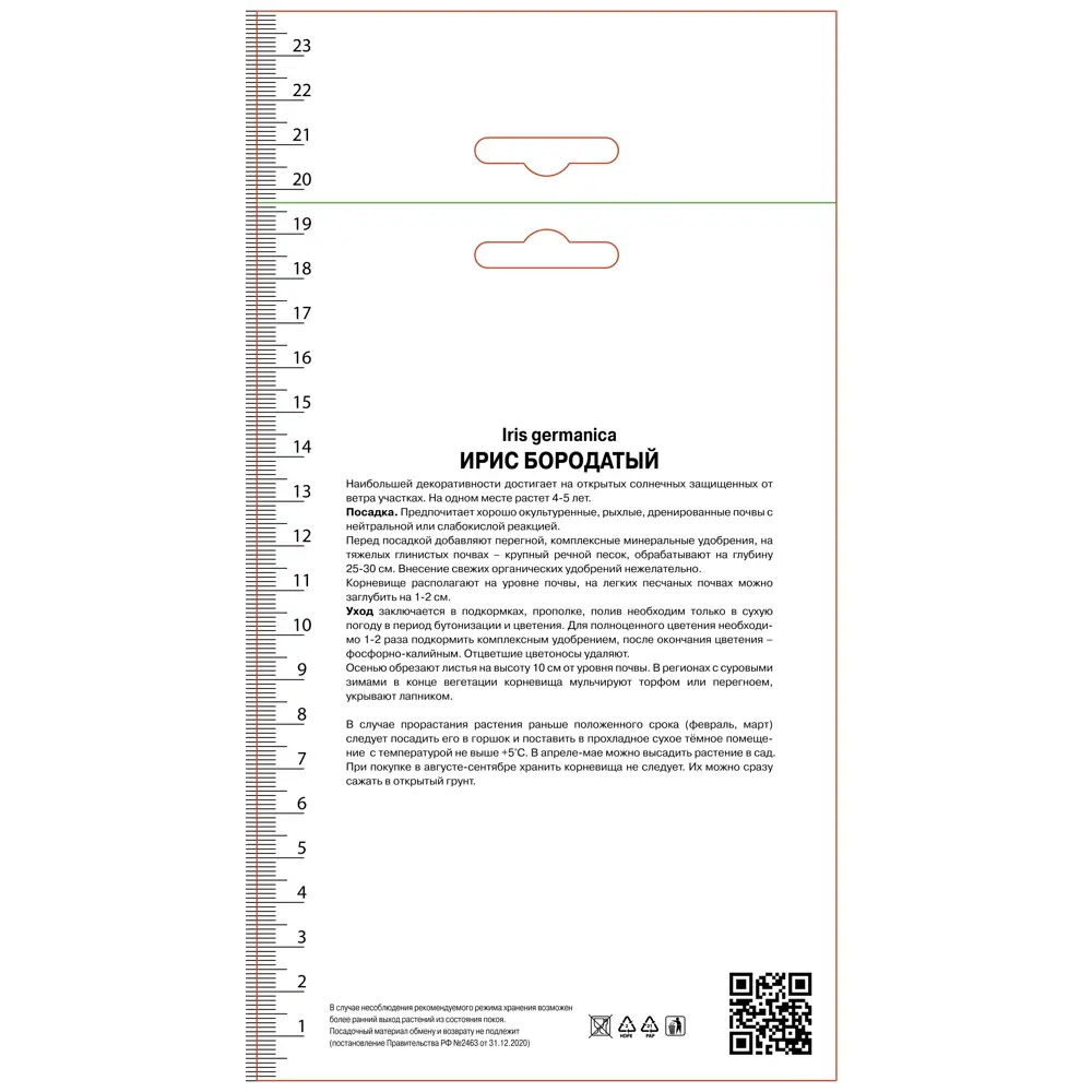 Ирис бородатый Кантина ПОИСК STLM-2114638