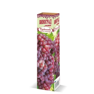 Виноград Кишмиш Лучистый в тубе 82559158 STLM-2172143